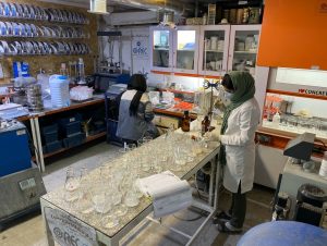 از آزمایشگاه تا سایت: فرآیندهای نوین در توسعه ترکیبات بتن